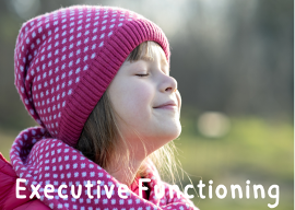 executive functioning, decision making, higher level thinking in children