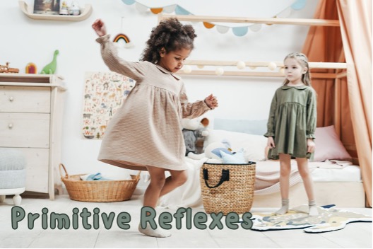 primitive reflex integration, coordination, lower brain stem functions