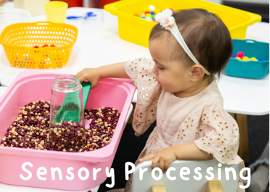 sensory processing difficulties in children